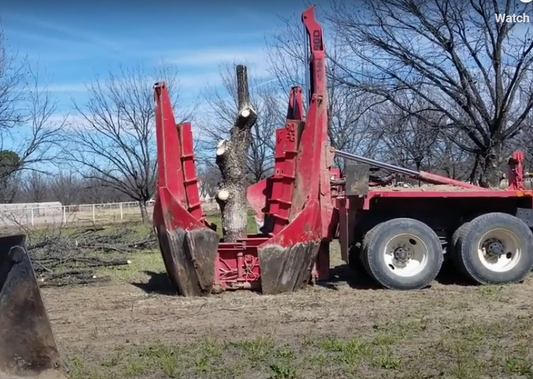 MOVING BIG PECAN TREES