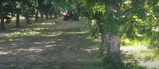 FLAIL MOWING THE ORCHARD