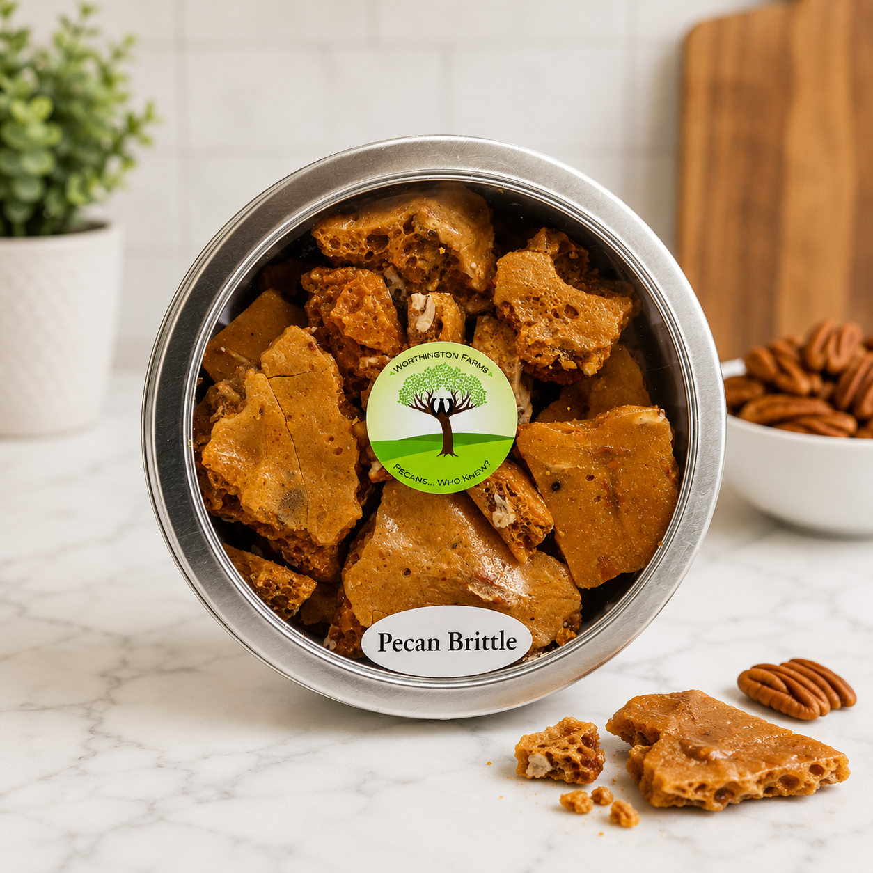 Pecan Brittle Gift Tin