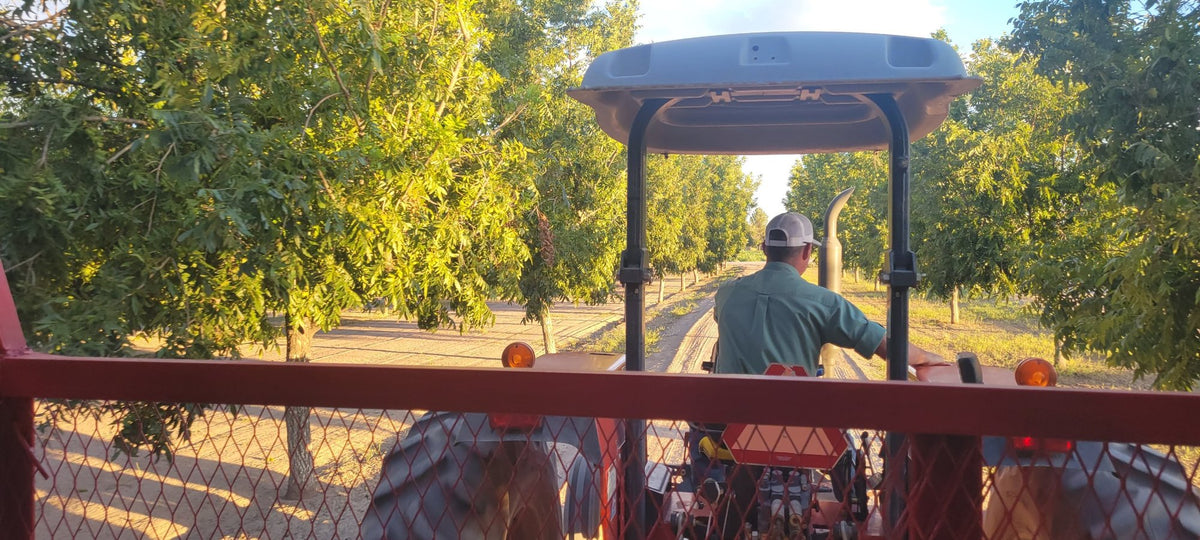 out in the rows